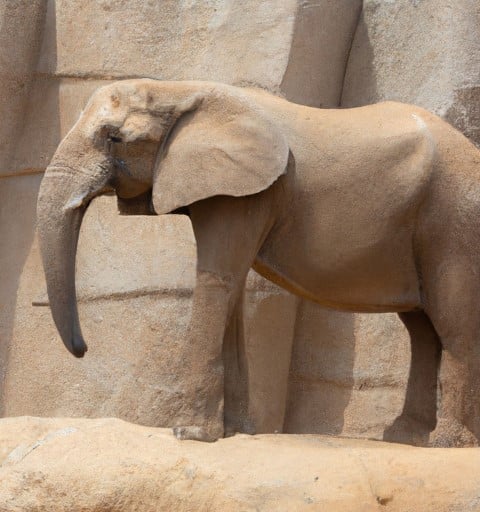 olifant in beton op balkon